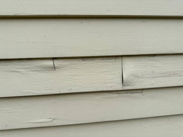 Best Property Management Cleanouts  in Meadowood, PA